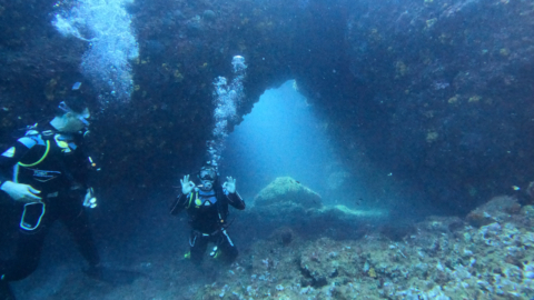 The diving spot is in Frouros reef in Stelida