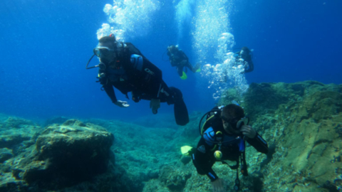 Dive with experienced diving experts 