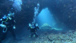 Underwater life awaits to meet you