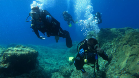  Join this session and discover your diving potential