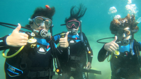 Discover stunning reefs and historical wrecks