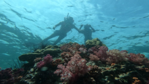 Ανακαλύψτε τον υποβρύχιο κόσμο για πρώτη φορά