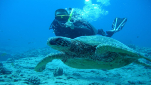 Δημιουργήστε αξέχαστες αναμνήσεις κάτω από την επιφάνεια