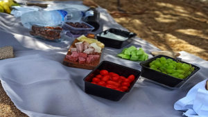The picnic that you will enjoy following the tour