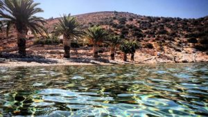 The palm trees and crystal clear water of Panormos