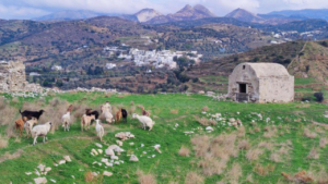 A serene escape on Naxos, set against the island's stunning natural backdrop