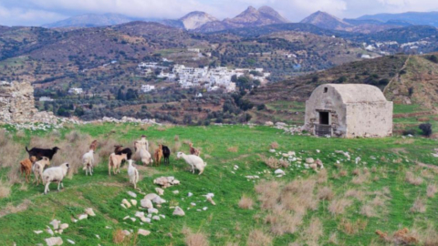 A serene escape on Naxos, set against the island's stunning natural backdrop