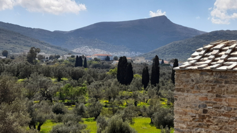 Stroll along scenic valleys surrounded by lush greenery