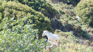 Ανακαλύψτε τα καταπράσινα τοπία και απολαύστε την πανέμορφη θέα