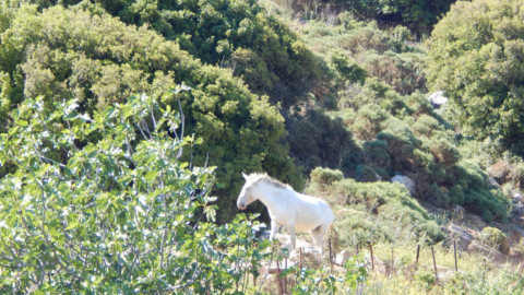 Ανακαλύψτε τα καταπράσινα τοπία και απολαύστε την πανέμορφη θέα