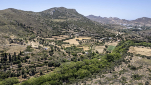 Διασχίστε σκιερά μονοπάτια περικυκλωμένα από επιβλητικά πλατάνια