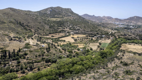 Διασχίστε σκιερά μονοπάτια περικυκλωμένα από επιβλητικά πλατάνια