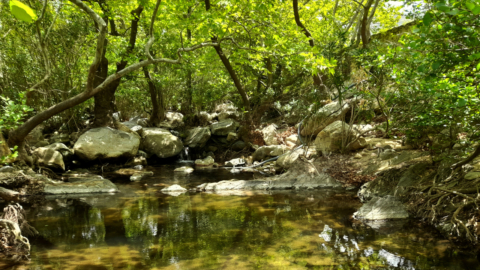 Είναι ασυνήθιστο να συναντήσει κανείς ένα ποτάμι στις Κυκλάδες