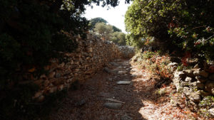 Hike from village to village, using the old footpaths which, for centuries, have connected the small whitewashed picturesque villages between them.