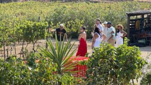 Main photo for Naxos Wine Tour And Beyond