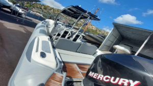 Experience the thrill of speed while passing scenic coves