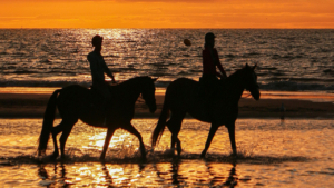 Δημιουργήστε διαχρονικές αναμνήσεις σε μια παραθαλάσσια ιππική απόδραση