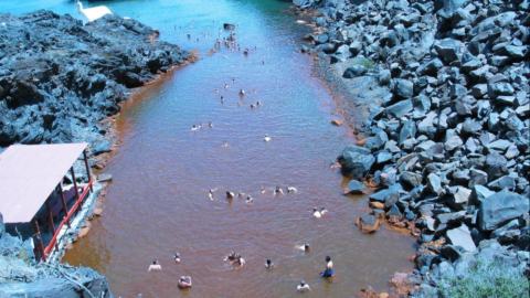 An aerial view of the hot springs as seen from above