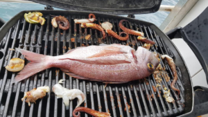 Savor a delicious meal onboard made from your own freshly caught fish