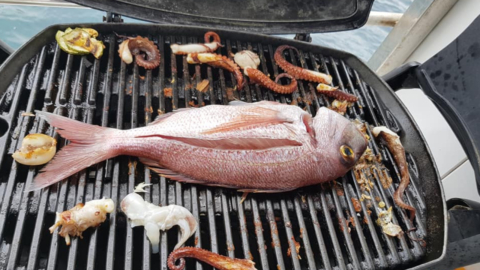 Savor a delicious meal onboard made from your own freshly caught fish