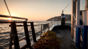 Feel the thrill of catching fish as the day turns to night