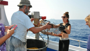 Learn hands-on fishing techniques from expert Greek fishermen