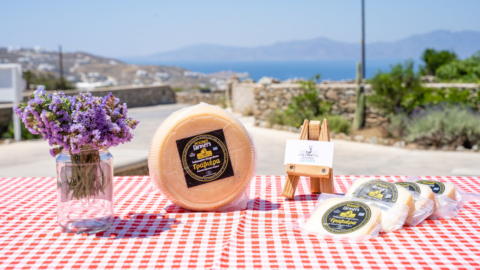 Savor the unique local cheeses