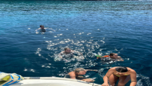 Dive into crystal-clear waters and enjoy a refreshing swim