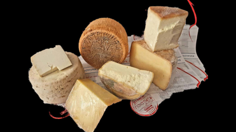 Taste exquisite local cheeses along with fine wine