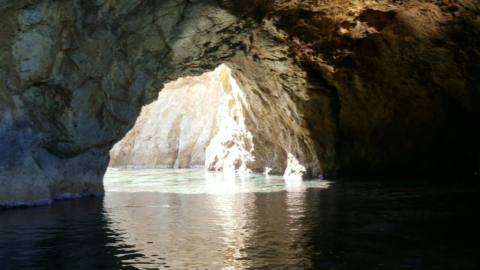 Uncover quiet corners where beauty remains wild