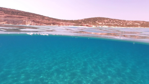 Unwind on pristine sandy beaches framed by vibrant blue waters