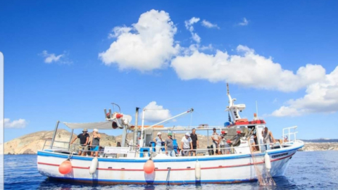 Navigate open waters with expert local captains