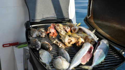 Savor a freshly prepared lunch after an intense fishing session