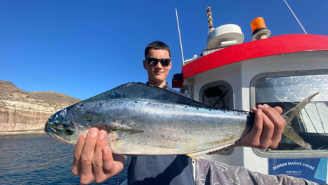 Experience the thrill of battling giant deep-sea fish