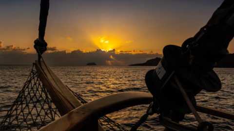 Magical moments await you on this unique experience
