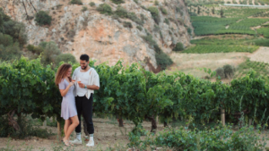 Επισκεφτείτε το οινοποιείο και δοκιμάστε κρασιά