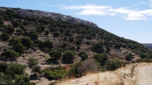 Gallery photo 5 for Naxos Villages and Countryside Hiking Tour