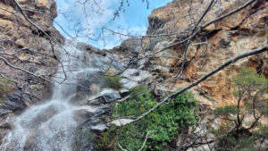 Explore the picturesque alleys of Halki village