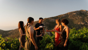 Γευτείτε βραβευμένα κρασιά μέσα από μια καθοδηγούμενη εμπειρία γευσιγνωσίας