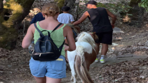 Περιηγηθείτε σε σκιερά μονοπάτια ανάμεσα σε ελαιώνες και παραδοσιακούς αμπελώνες
