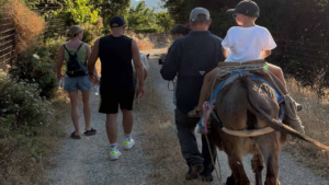 Ανακαλύψτε γαλήνια μονοπάτια στην εξοχή παρέα με φιλικά γαϊδουράκια και πόνυ