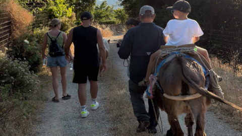 Ανακαλύψτε γαλήνια μονοπάτια στην εξοχή παρέα με φιλικά γαϊδουράκια και πόνυ