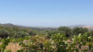 Ζήστε την αυθεντική αγροτική ζωή μέσα στη φύση