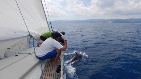 Sail across the Aegean Sea on a private island adventure